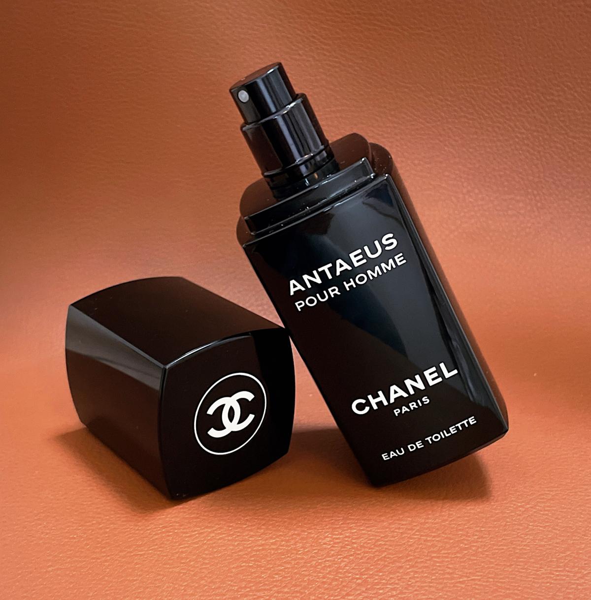 تصویر عطر ادکلن شنل آنتئوس مردانه | chanel Antaeus for men 1