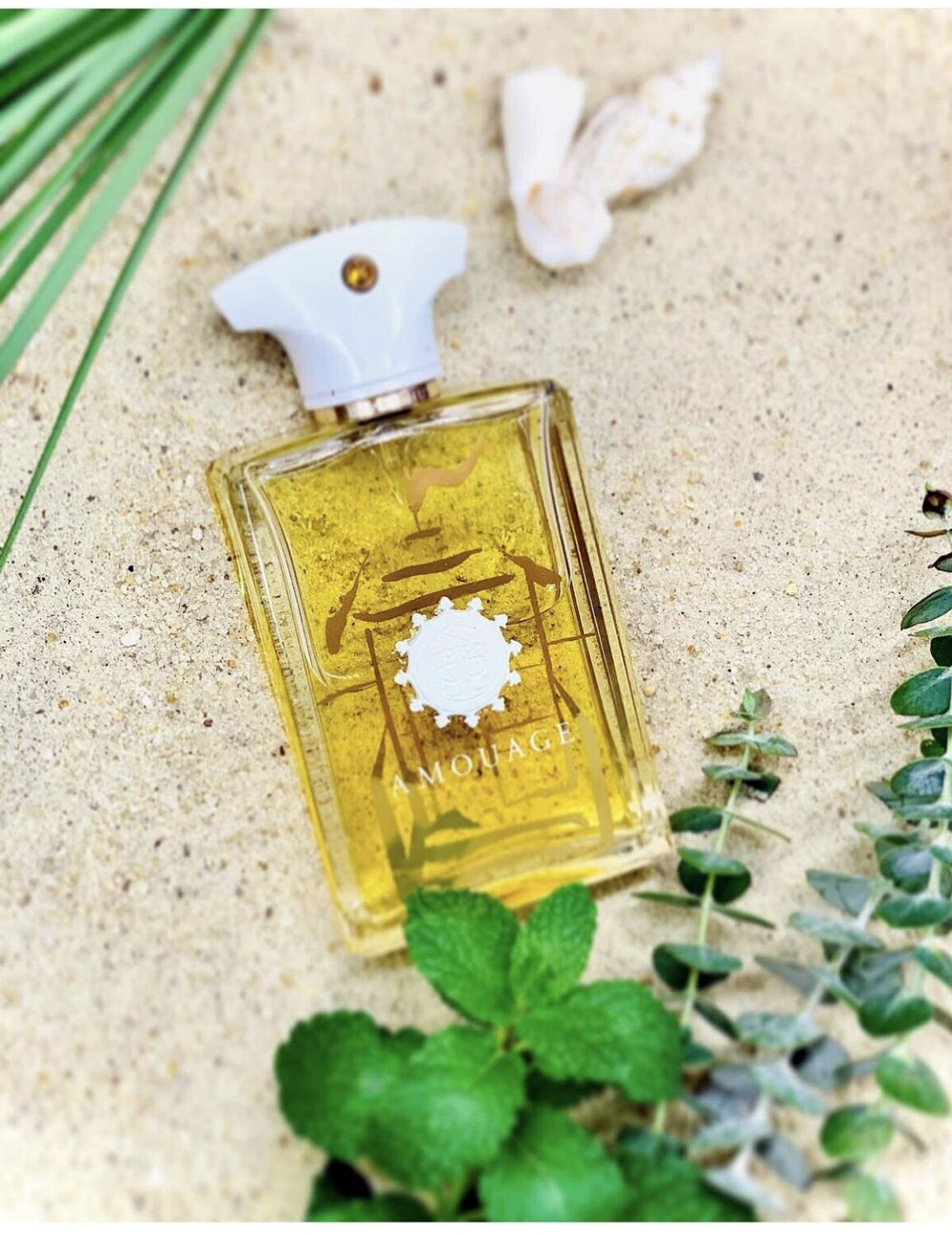 تصویر عطر ادو پرفیوم بیچ هات آمواج | Beach Hut Amouage 3