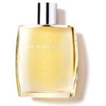عطر ادکلن باربری مردانه (Burberry Men Burberry)