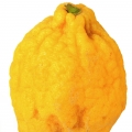 بالنگ بالنگ