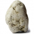 ستالوکس