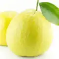میوه ترنج میوه ترنج