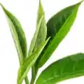 چای چای